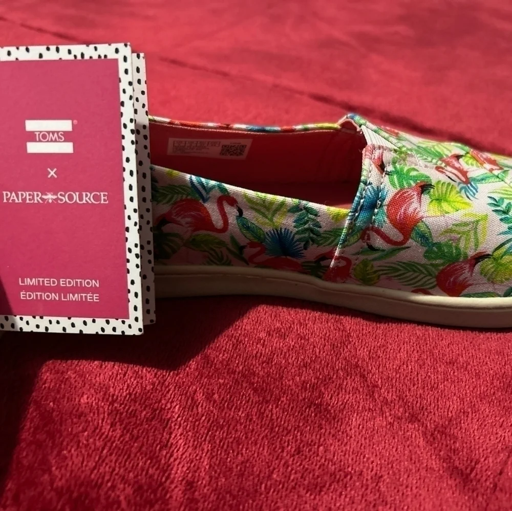LIMITED Edition Pink Flamingo Toms Y5‎